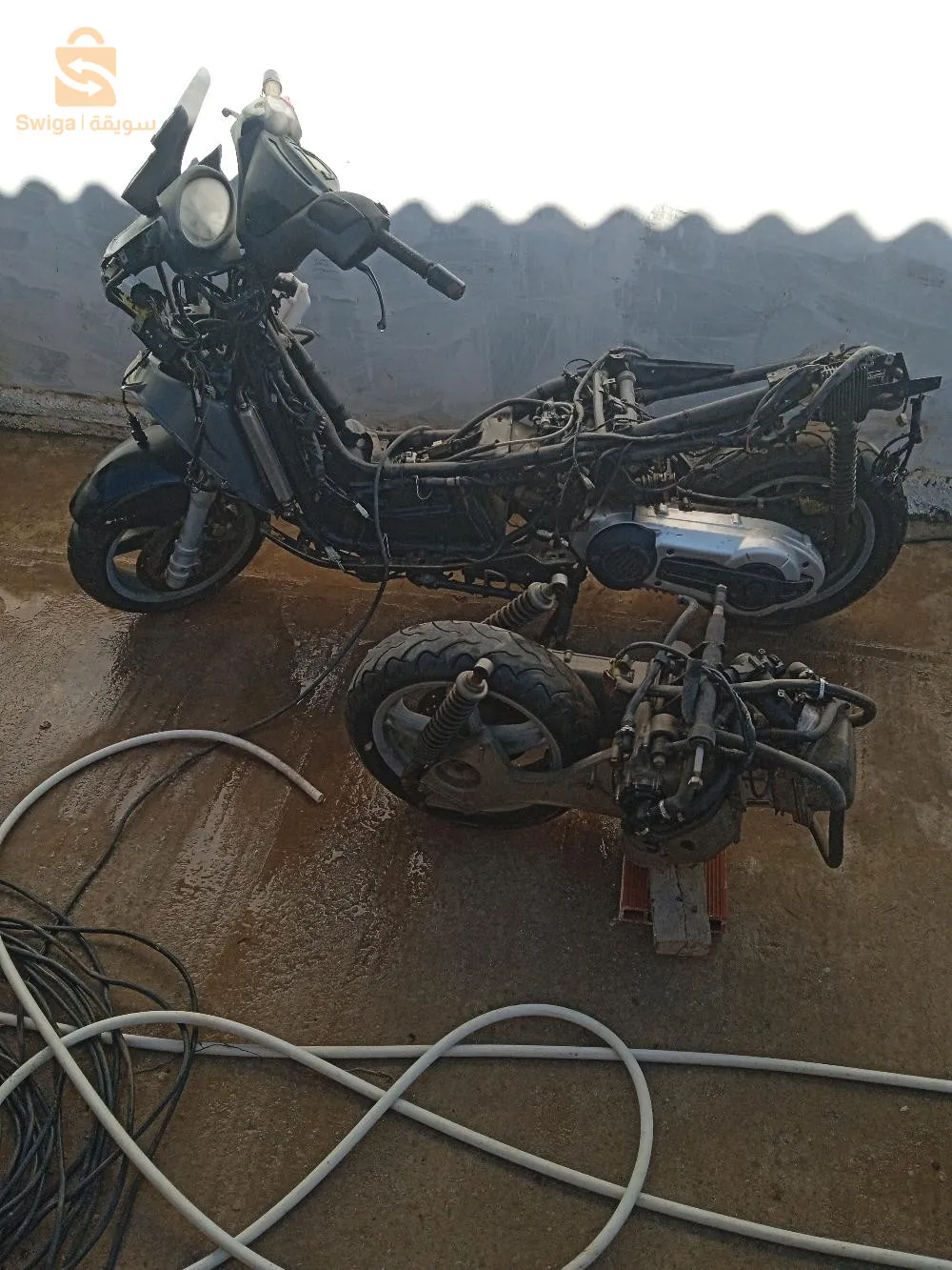 حي الورود stp الدارالبيضاء