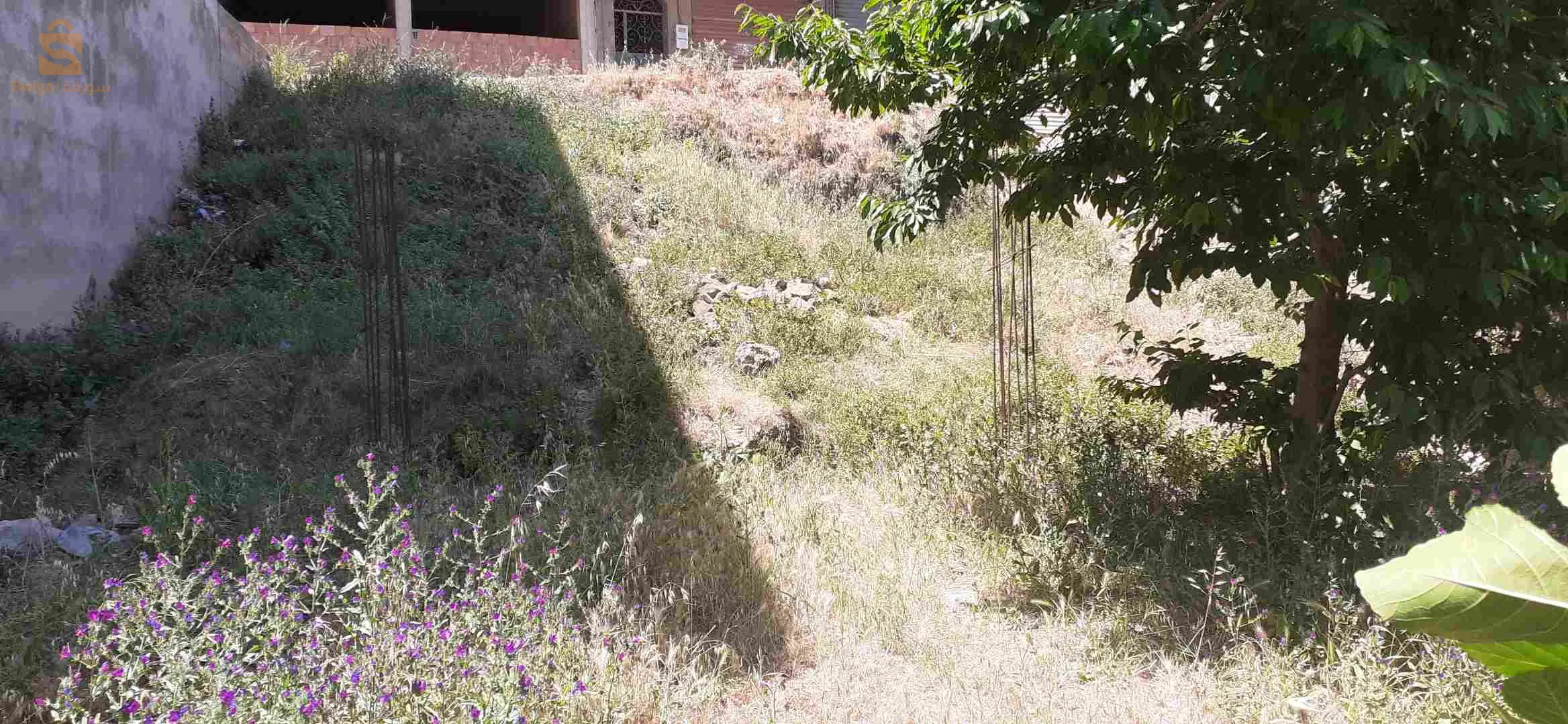 أرض للبيع احدادن بجاية