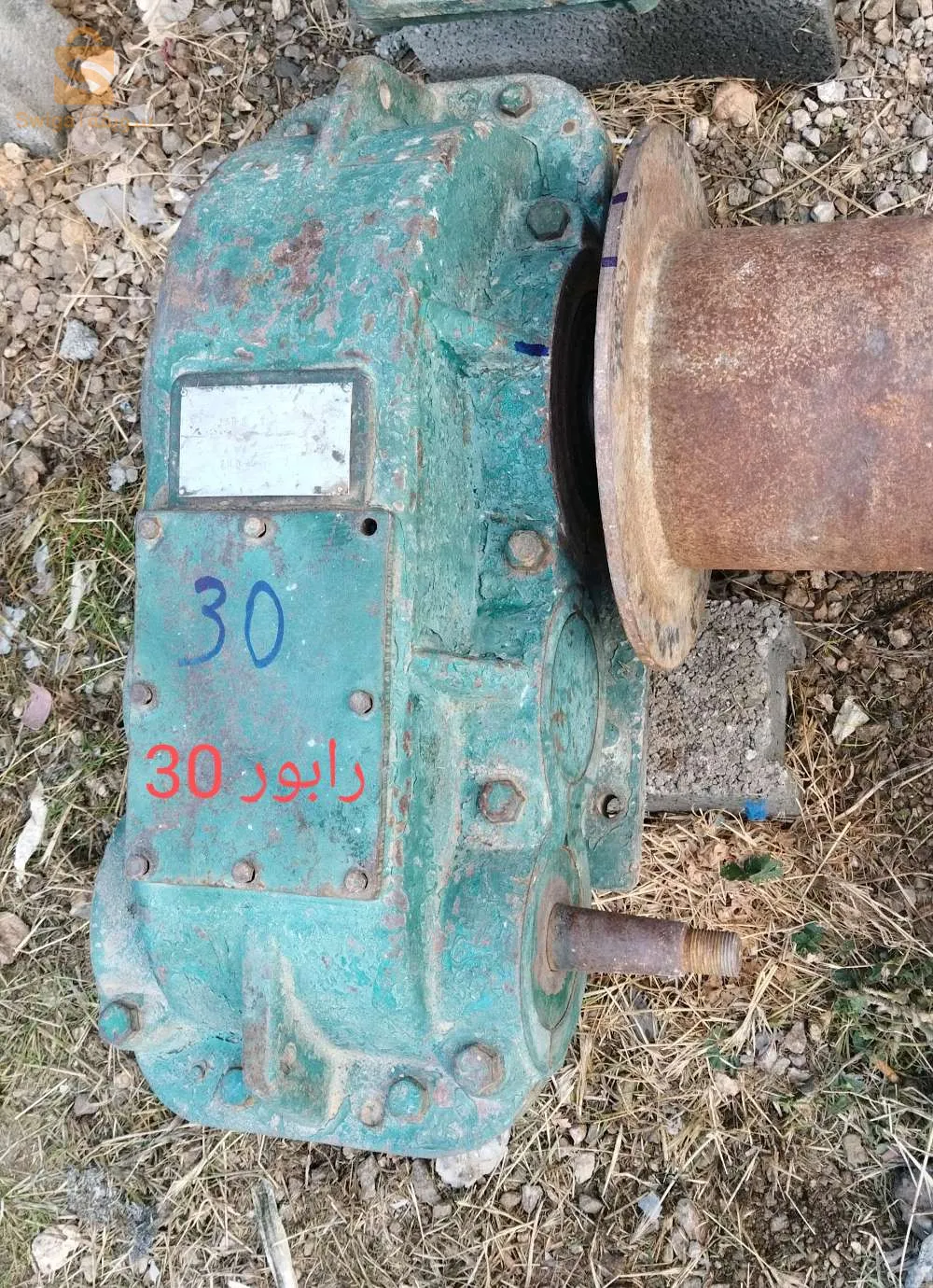 العلمة