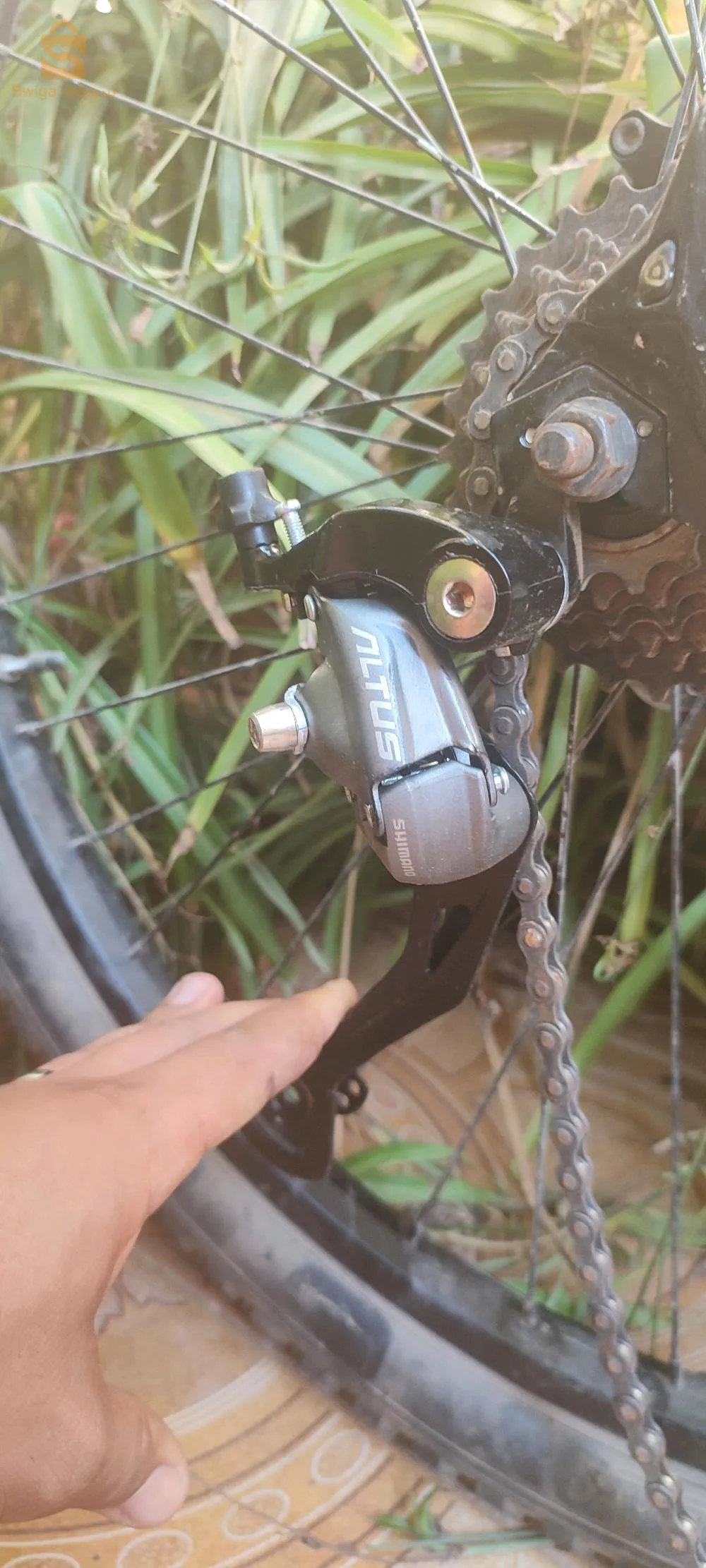 Trek + 2 bitwin