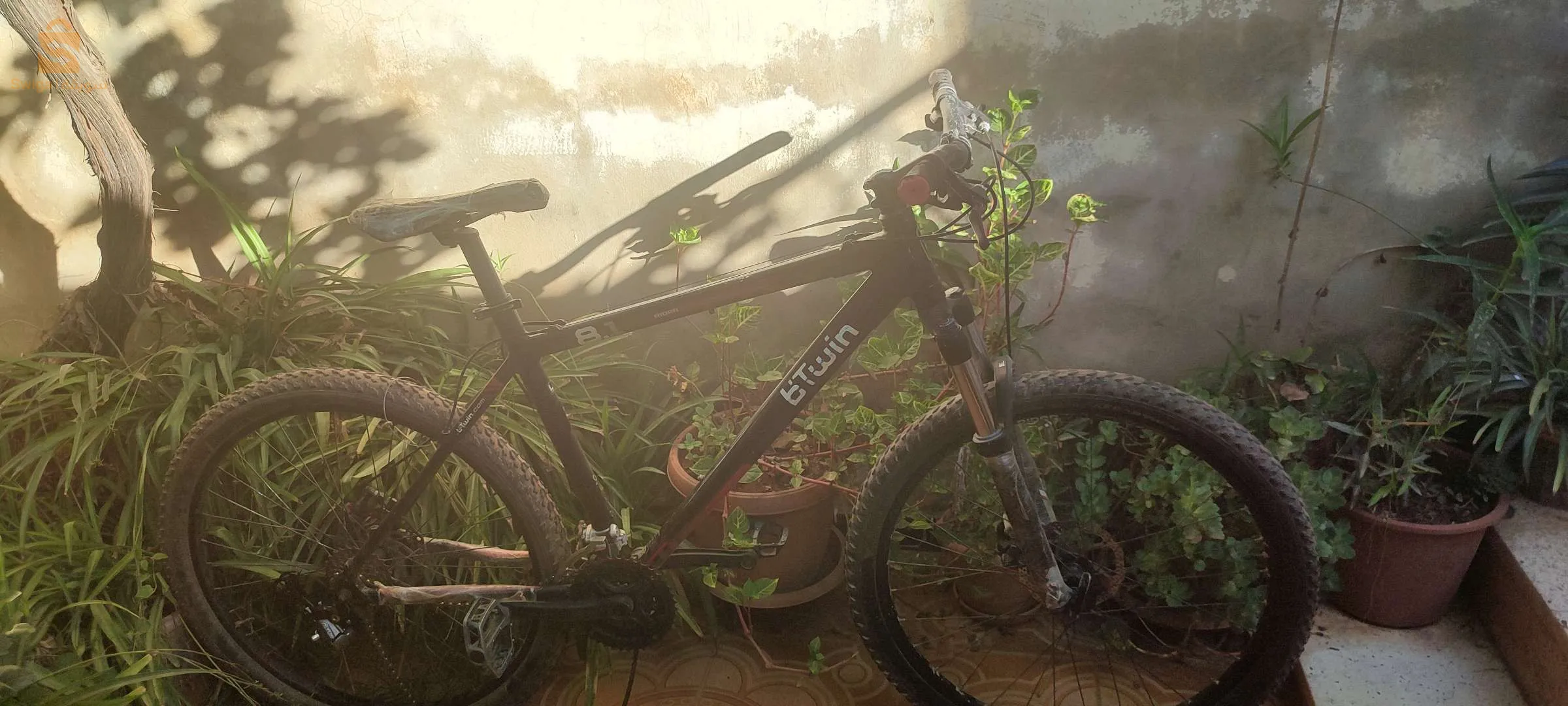 Trek + 2 bitwin
