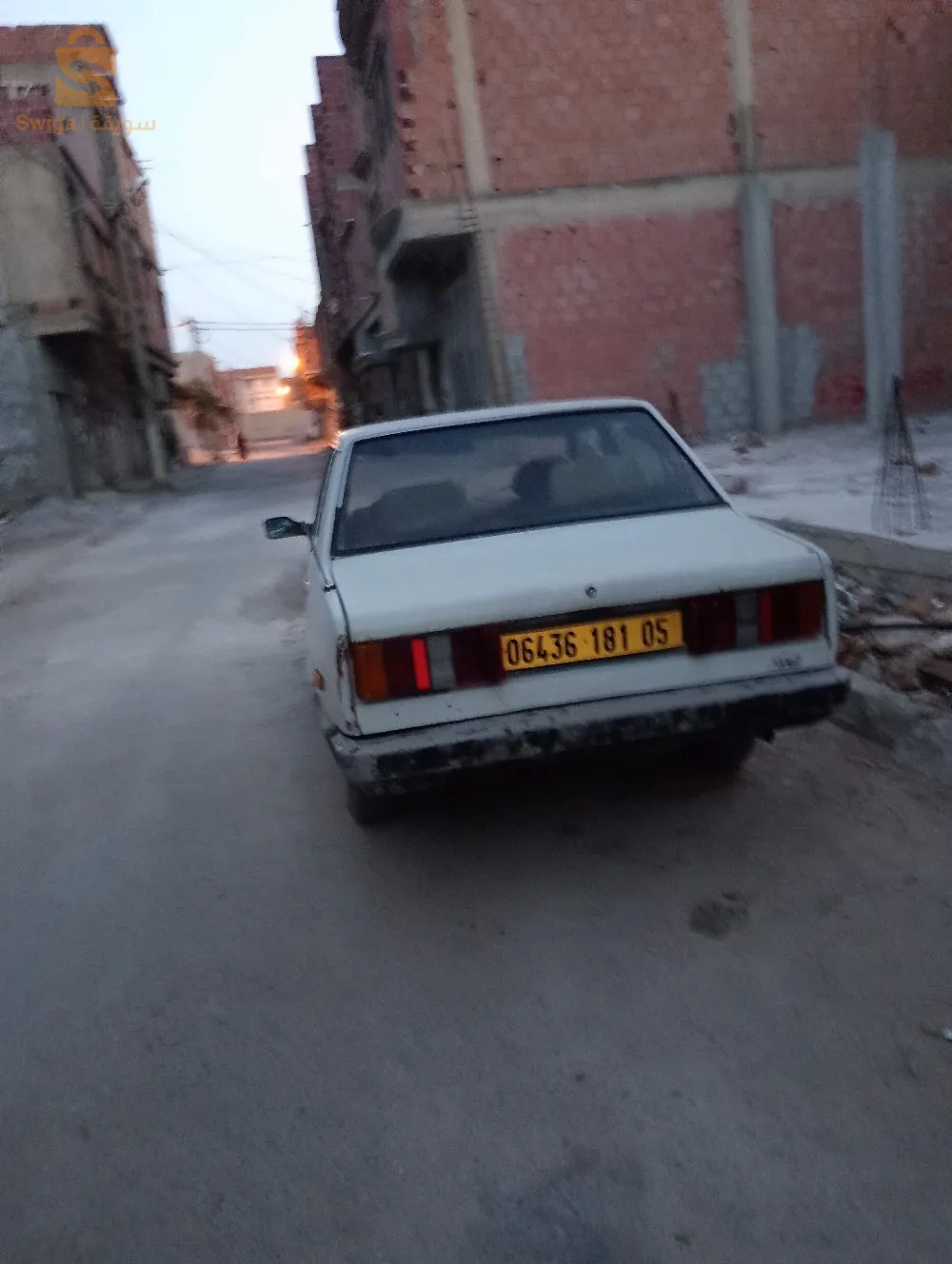 عبزن العصافير
