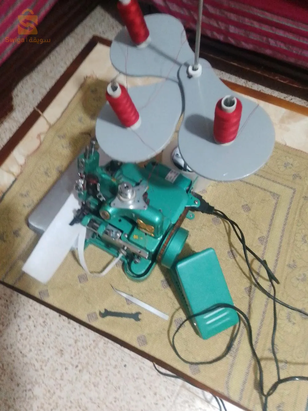 تيارت