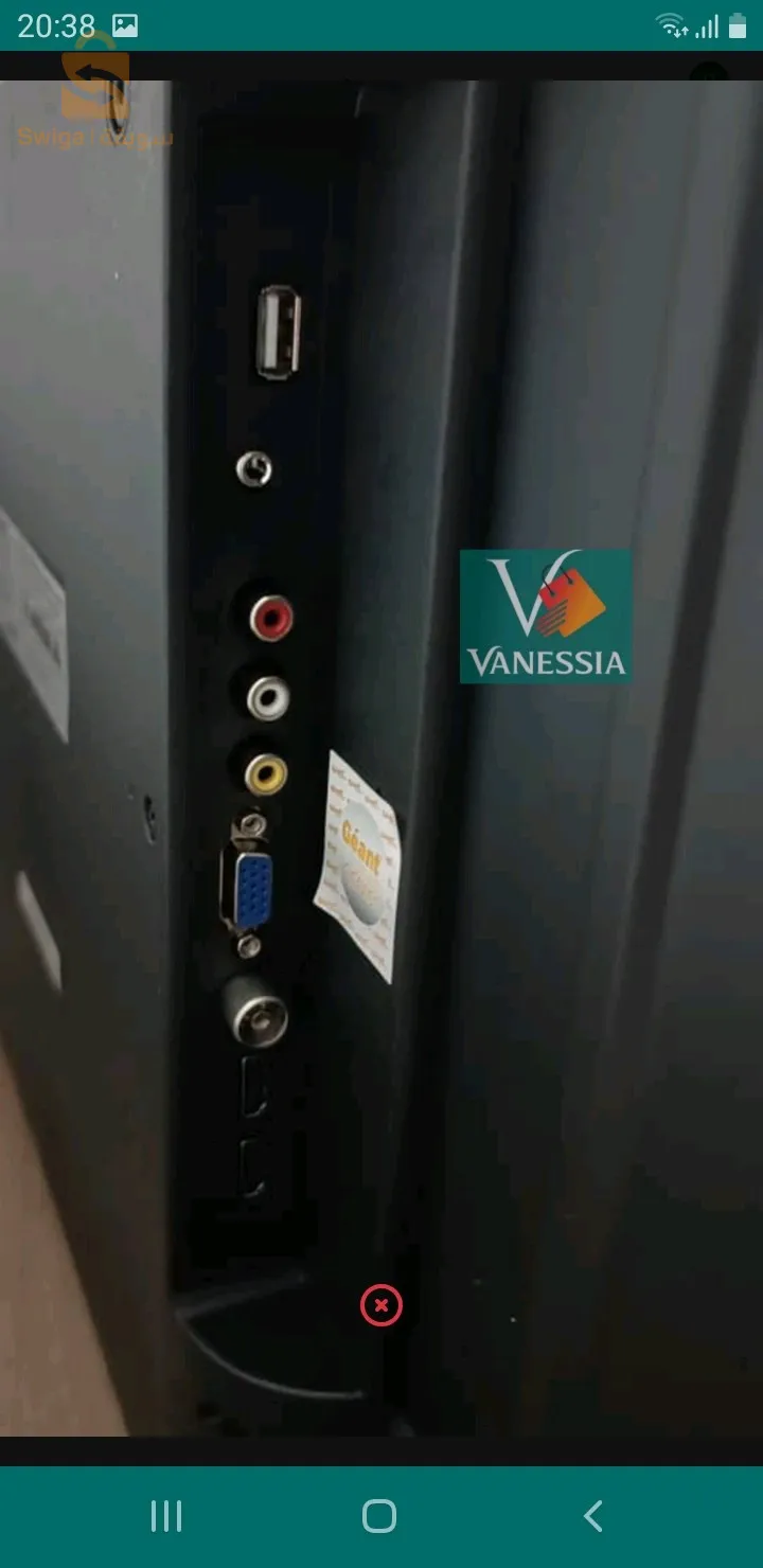 تلفزيون جيون