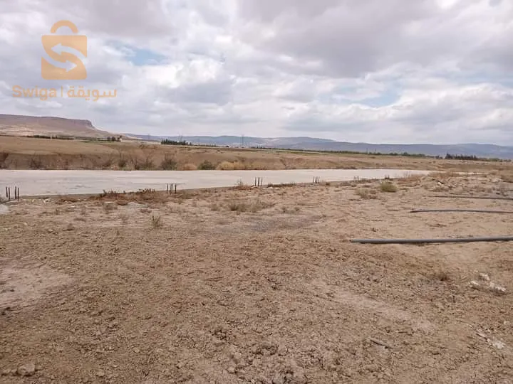 للبيع أرض فلاحية صالحة للإستثمار الفلاحي الإنتاجي فيها 4.27 هكتار فيها زوج فوراجات +رخصة حفر بئر ثالث و فيها بلاط فورم 80 م طول/14 عرض + رخصة بناء غرف تبريد + قاراج لتربية الدواجن(7000جاجة) + مسكن + معلم تاريخي (رحى رحمون) جاية على طريق الوطني رقم 03 (طريق بسكرة)   
#عقد_ملكية+#دفتر_عقاري.