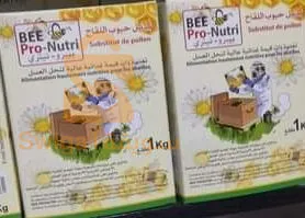بجانب مسجد عبدالله بن مسعود بوسعادة