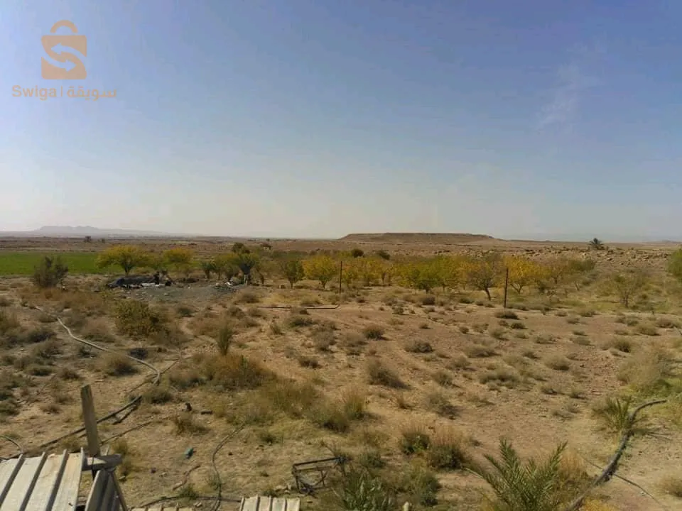 أرض فلاحية للبيع