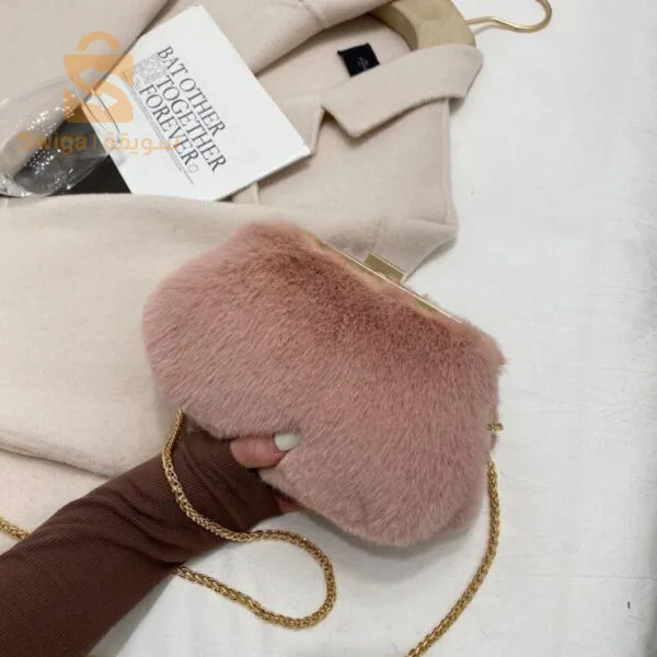 حقيبة نسائية