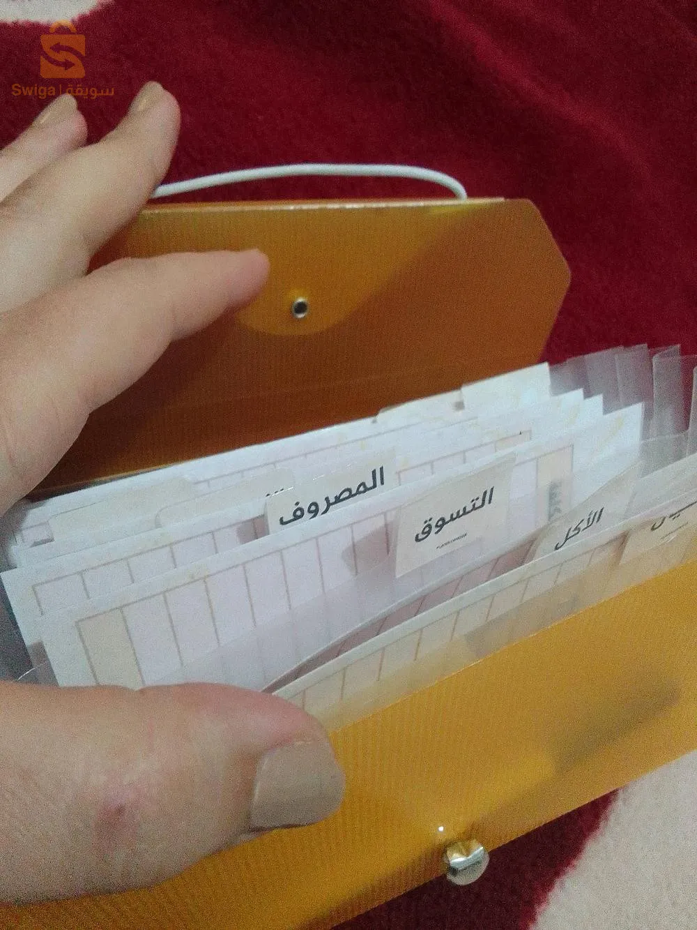 منظم الميزانية