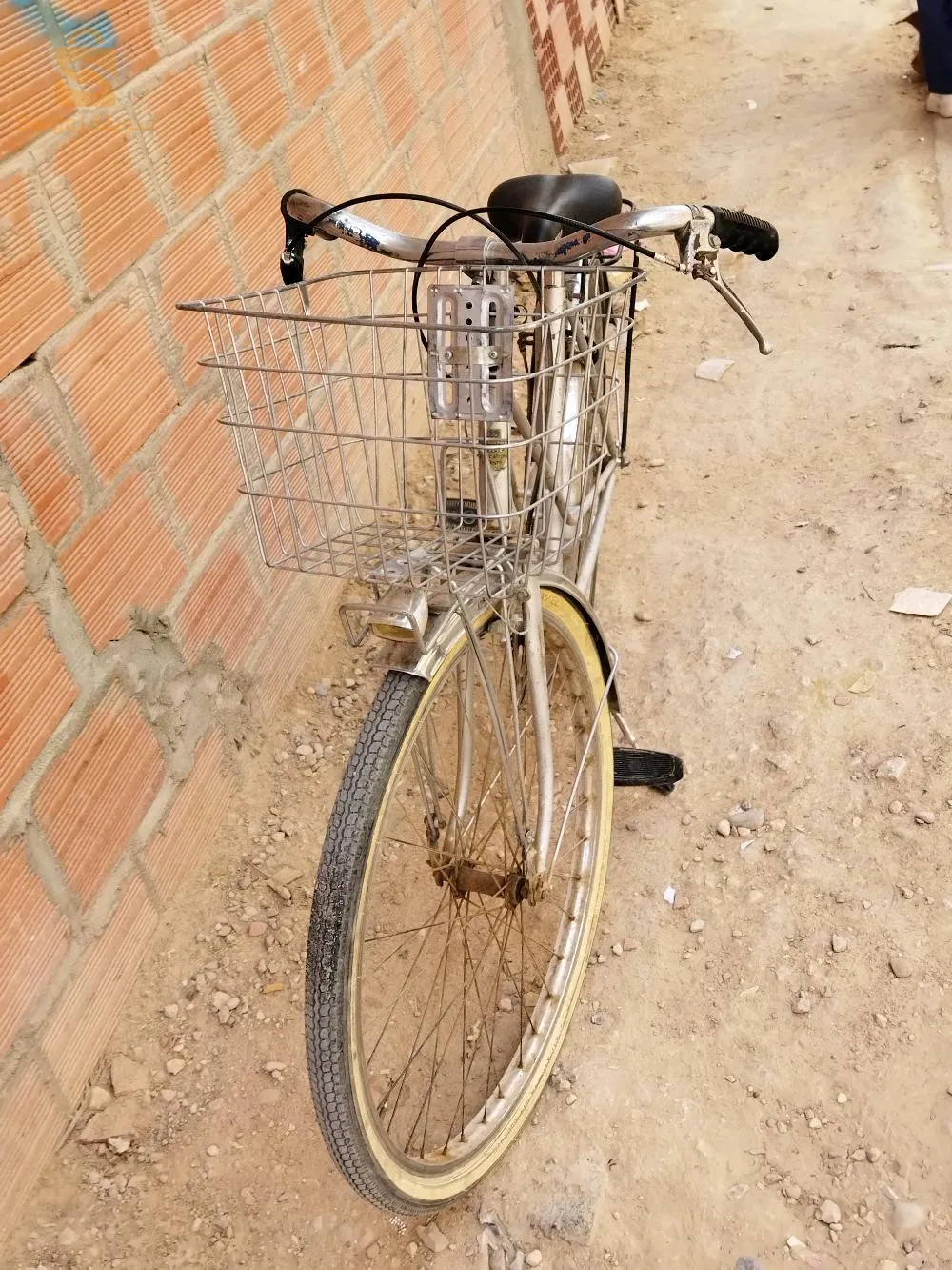 velo Dame