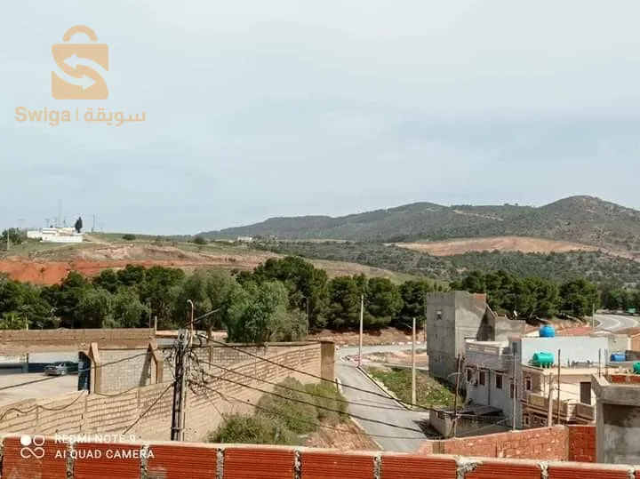 سيد العمر 
حي الوآم
