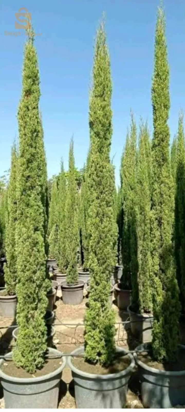 aménagement des espaces verts