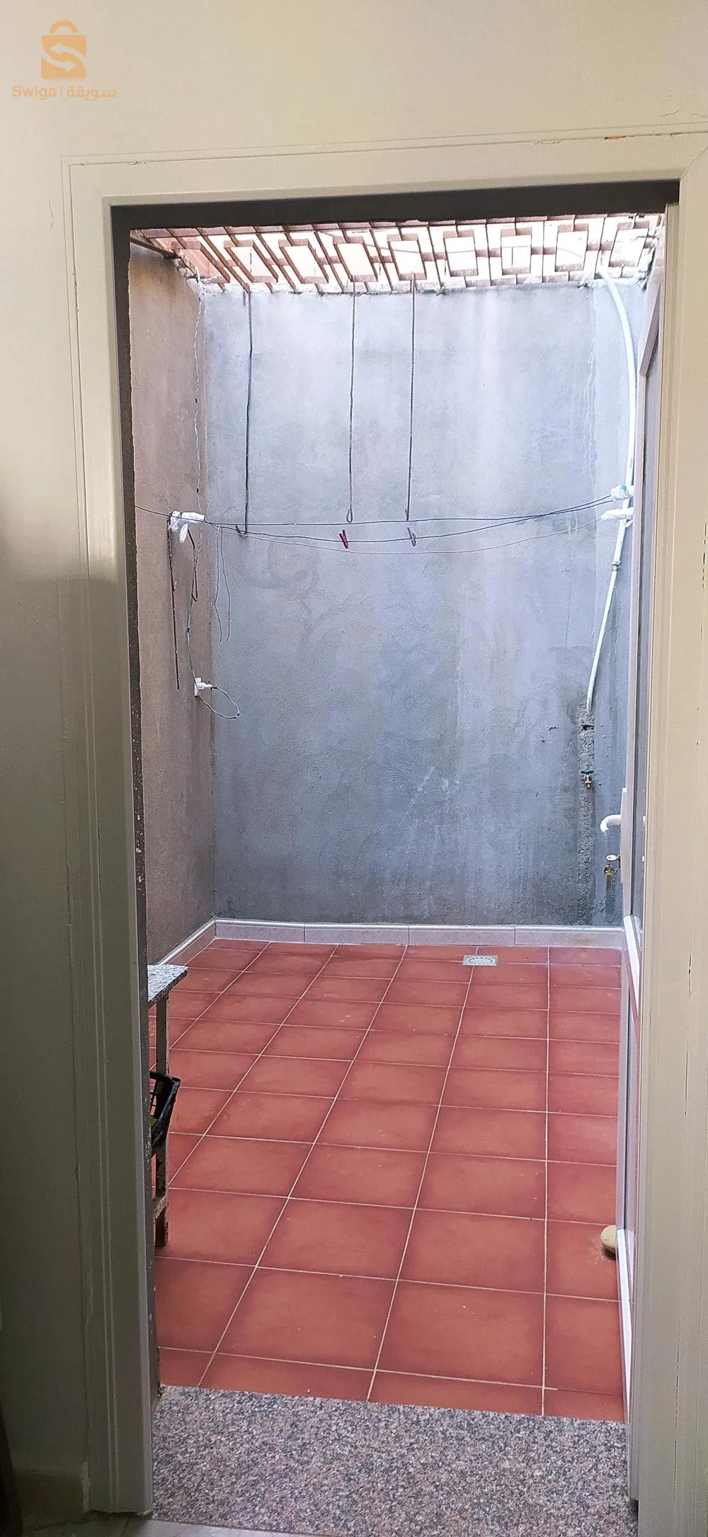 زيتونة لرهاط تيبازة