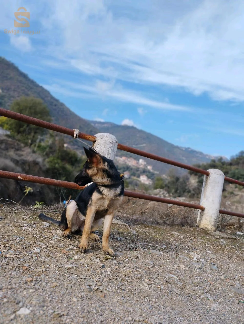 Tizi ouzou