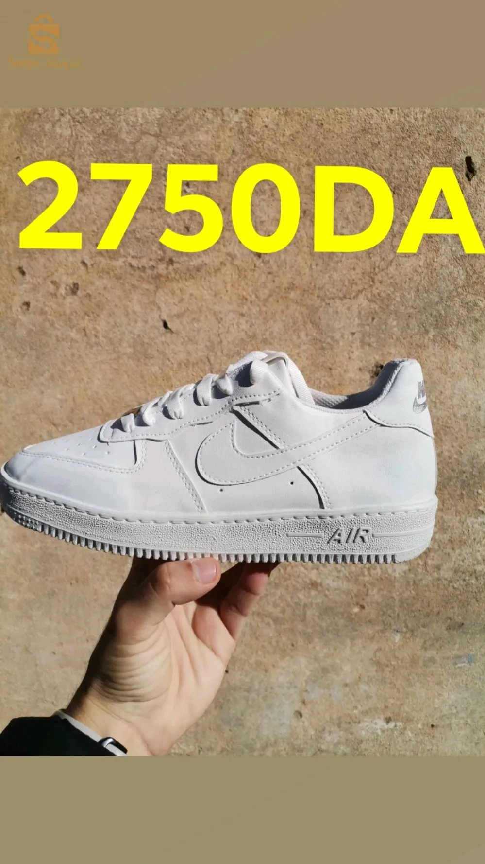 شلف سونطر لاسيتي