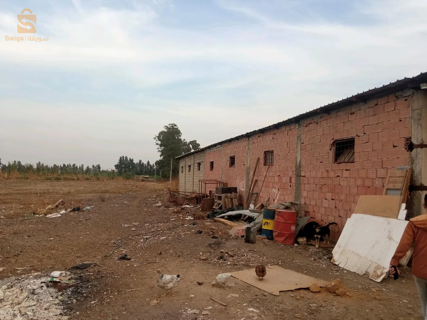 حي البور