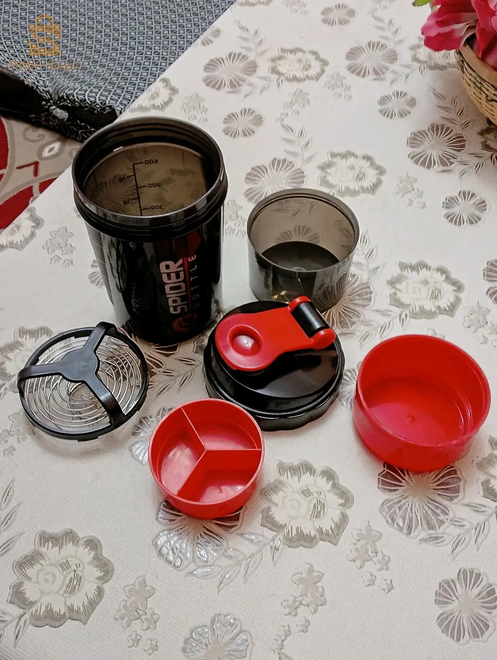 shaker bodybuilding