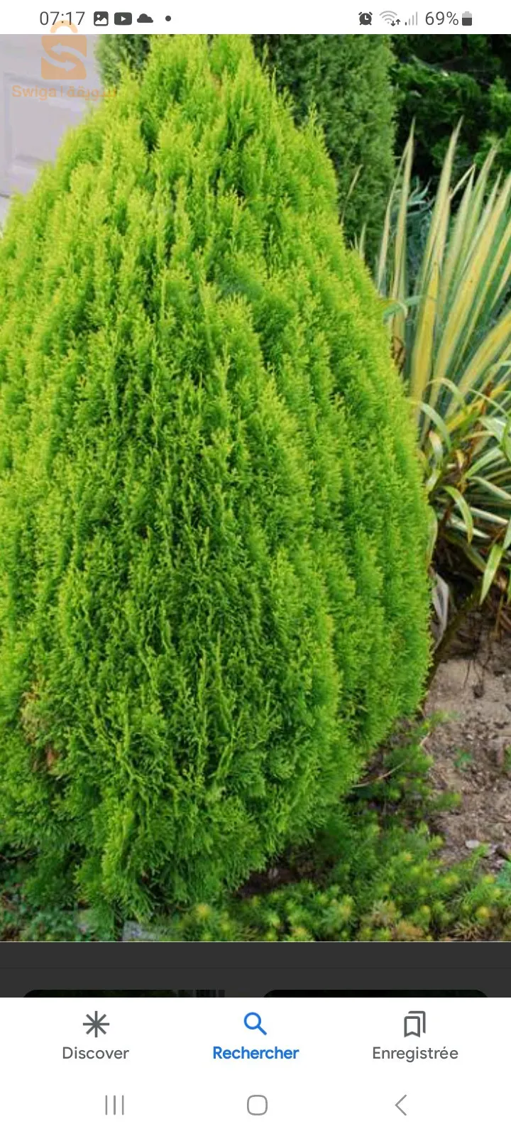 aménagement des espaces verts