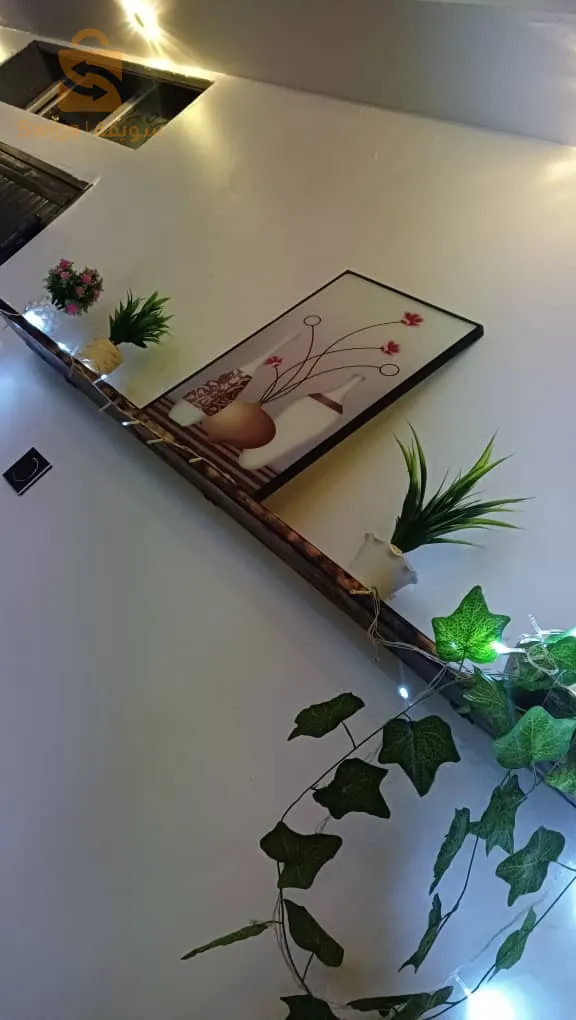 صور الغزلان