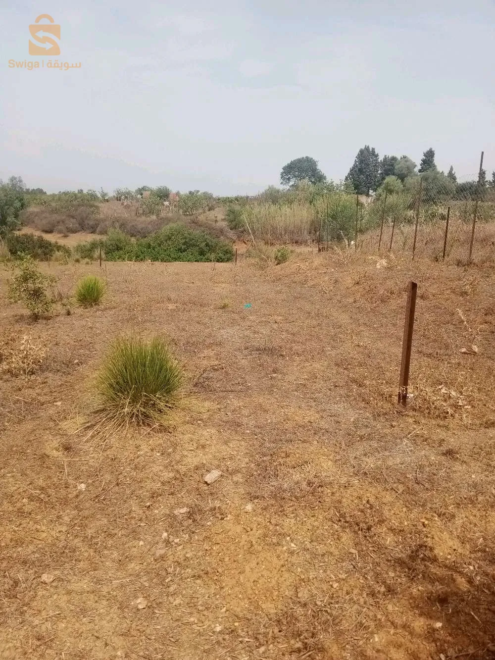 terain a vendreavendre terrain de 1500 m2 hauteur de Boumerdes