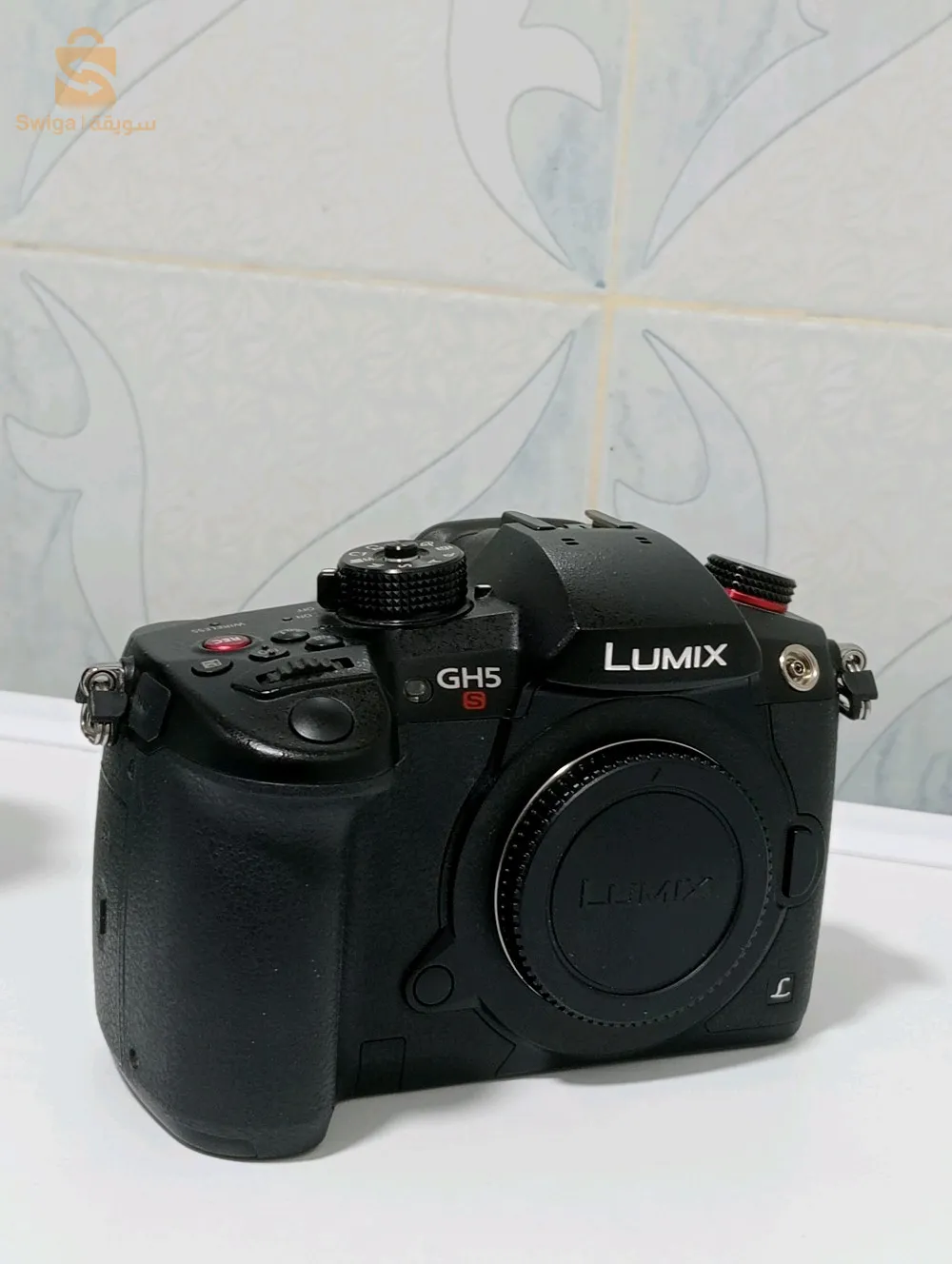 lumix gh5s
