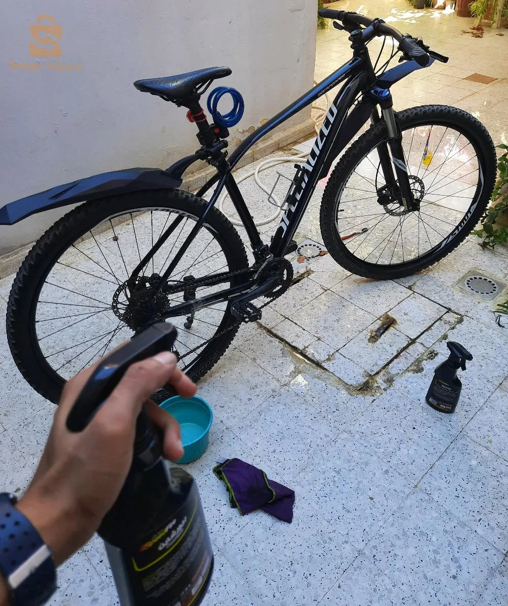 specialized rockhopper expert29