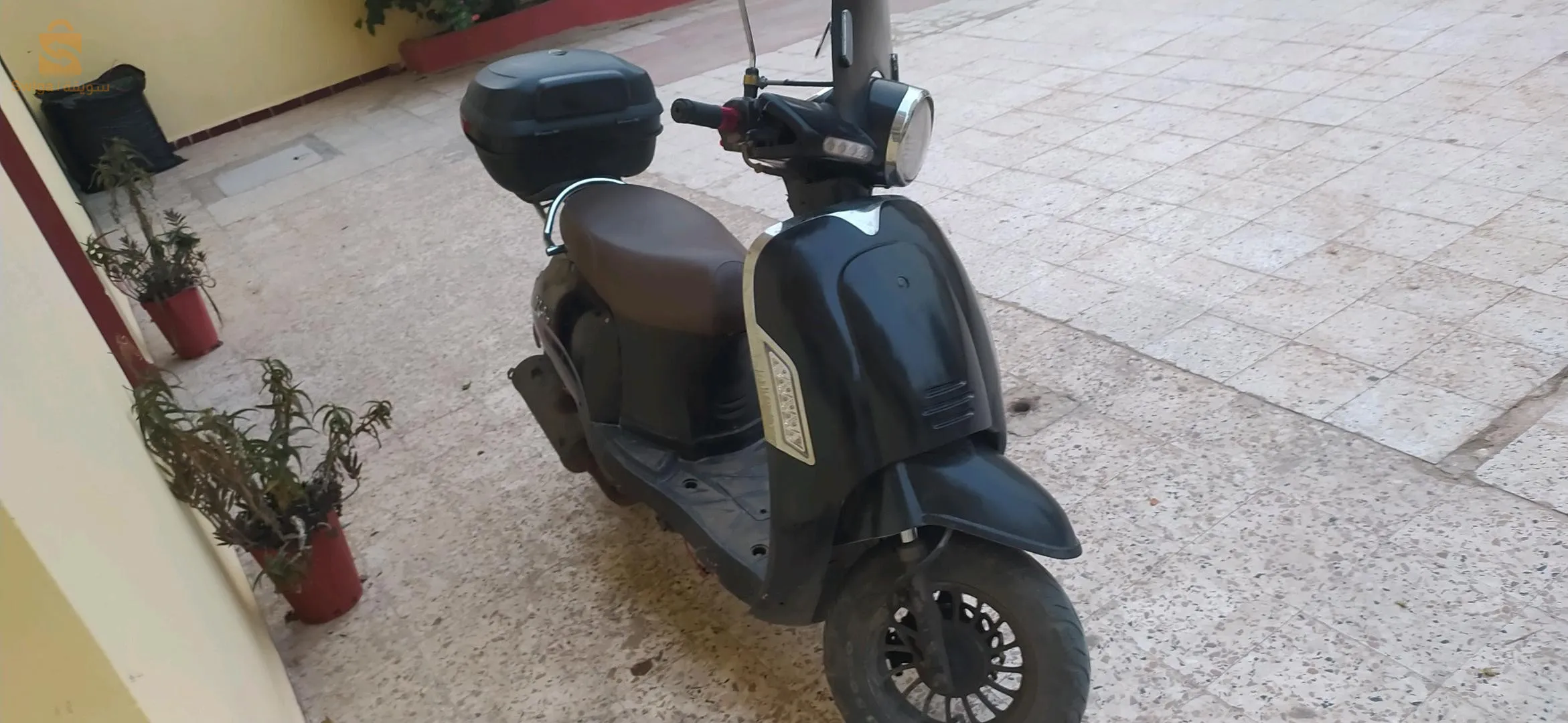 rétro 125cc carte grise