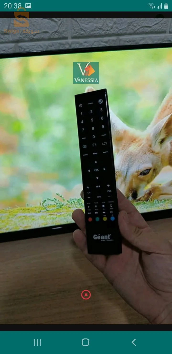 برموصيو تليفزيون جيون😍