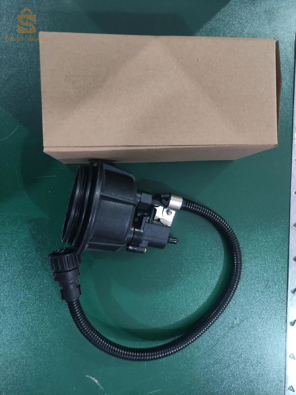 VERRE Filtre A Gasoil DXI + FH