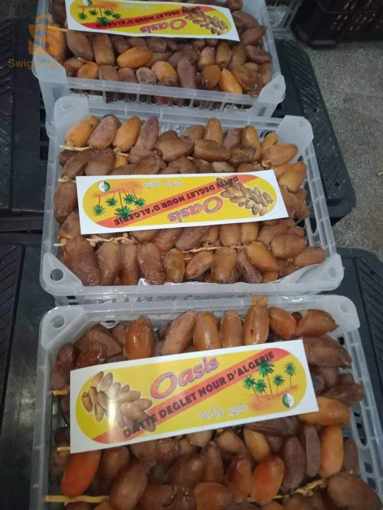 دقلة نور جزائريه ذات جودة عالية ماشاء الله