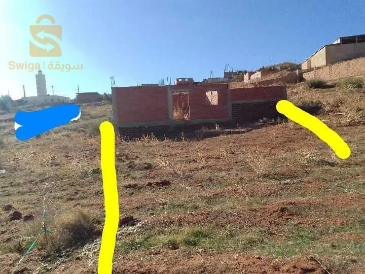 الابيض مجاجة