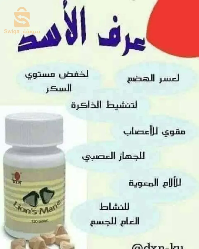 تلمسان
