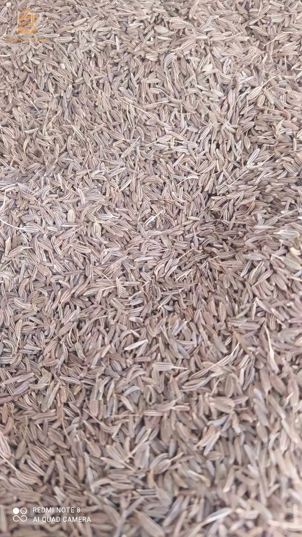 توابل وبهارات