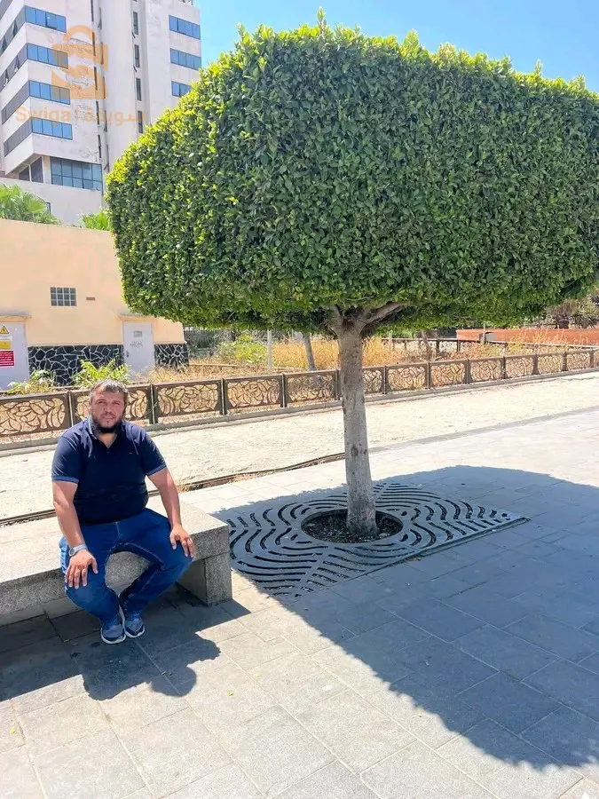 اشجار الفاكهة و اشجار تزيينية و مضادات الرياح