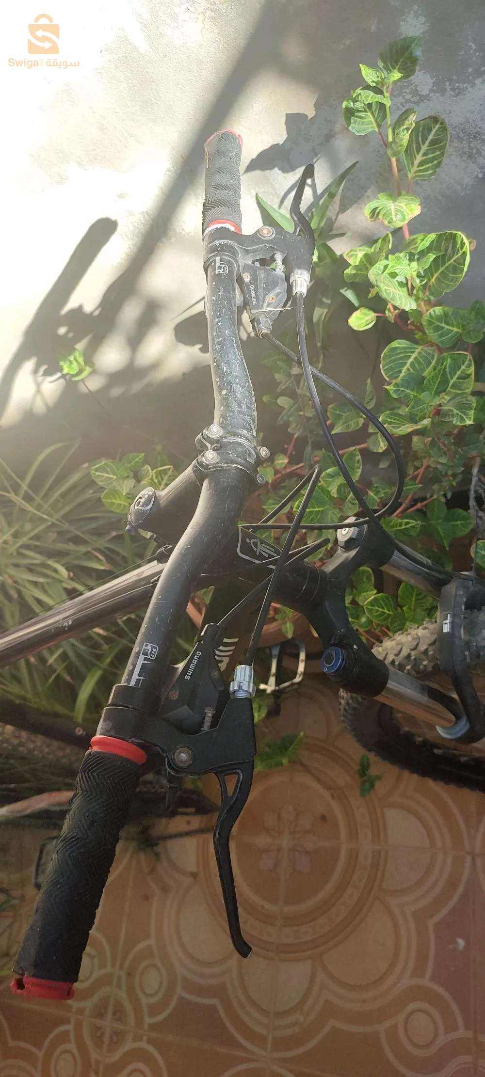 Trek + 2 bitwin