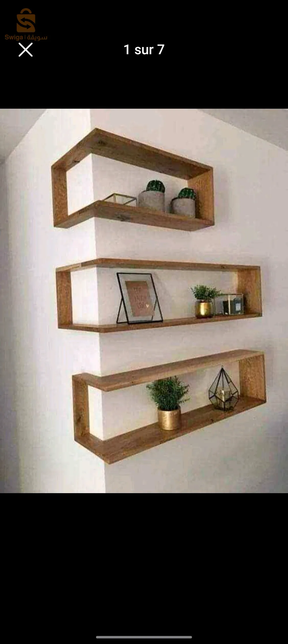 صور الغزلان