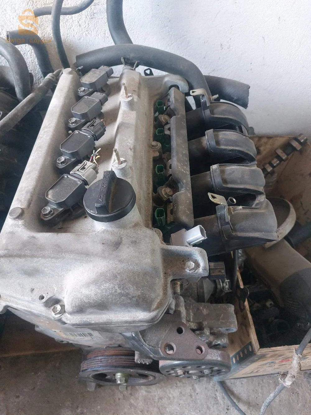 الكاليتوس العاصمة