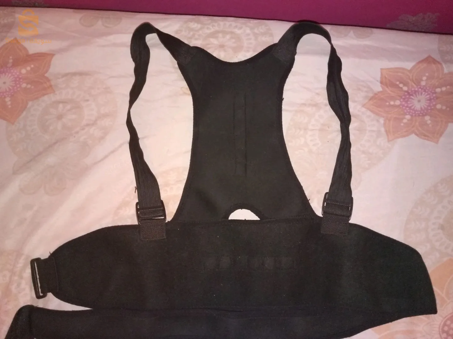 بروتاج تع الضهر