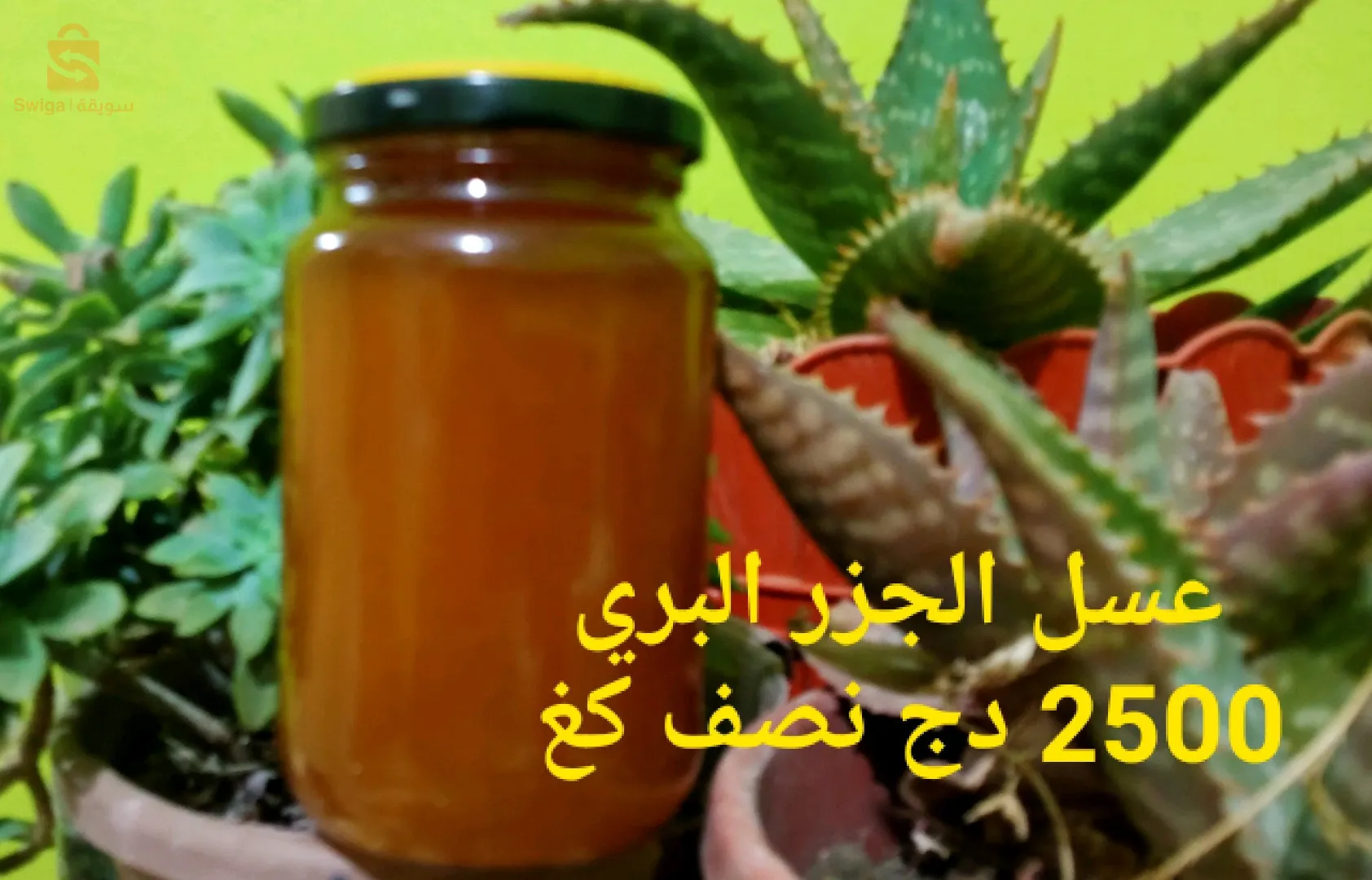 الخروب قسنطينة مع خدمة التوصيل