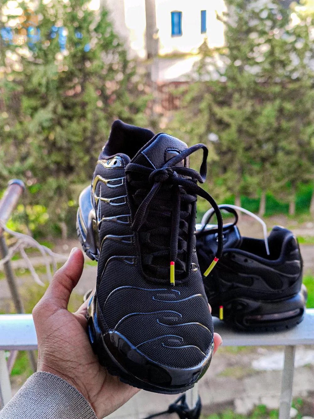 TN Black Black  fumigène جودة عالية✨