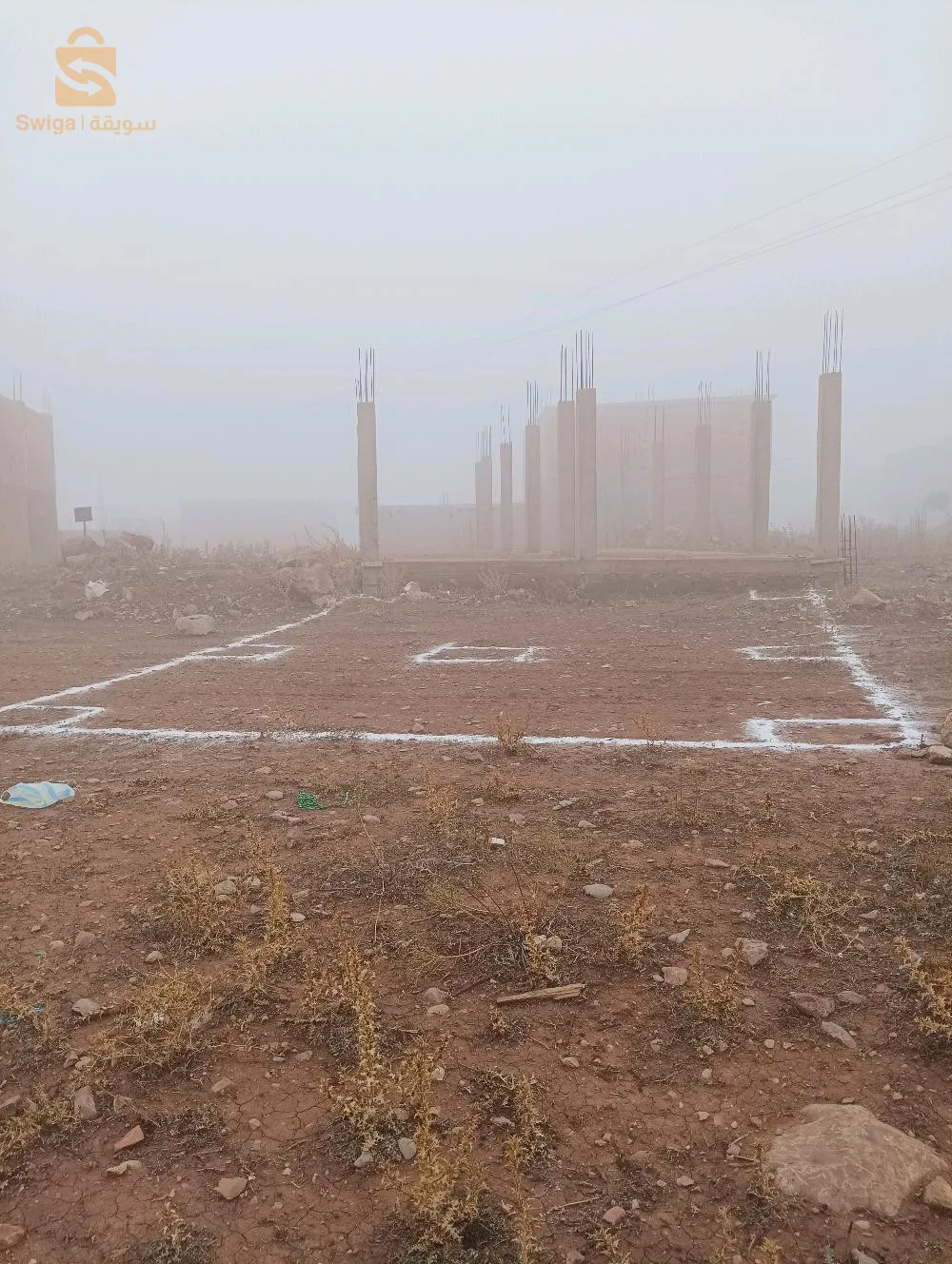 ارض البيع في تلمسان بلدية ترني