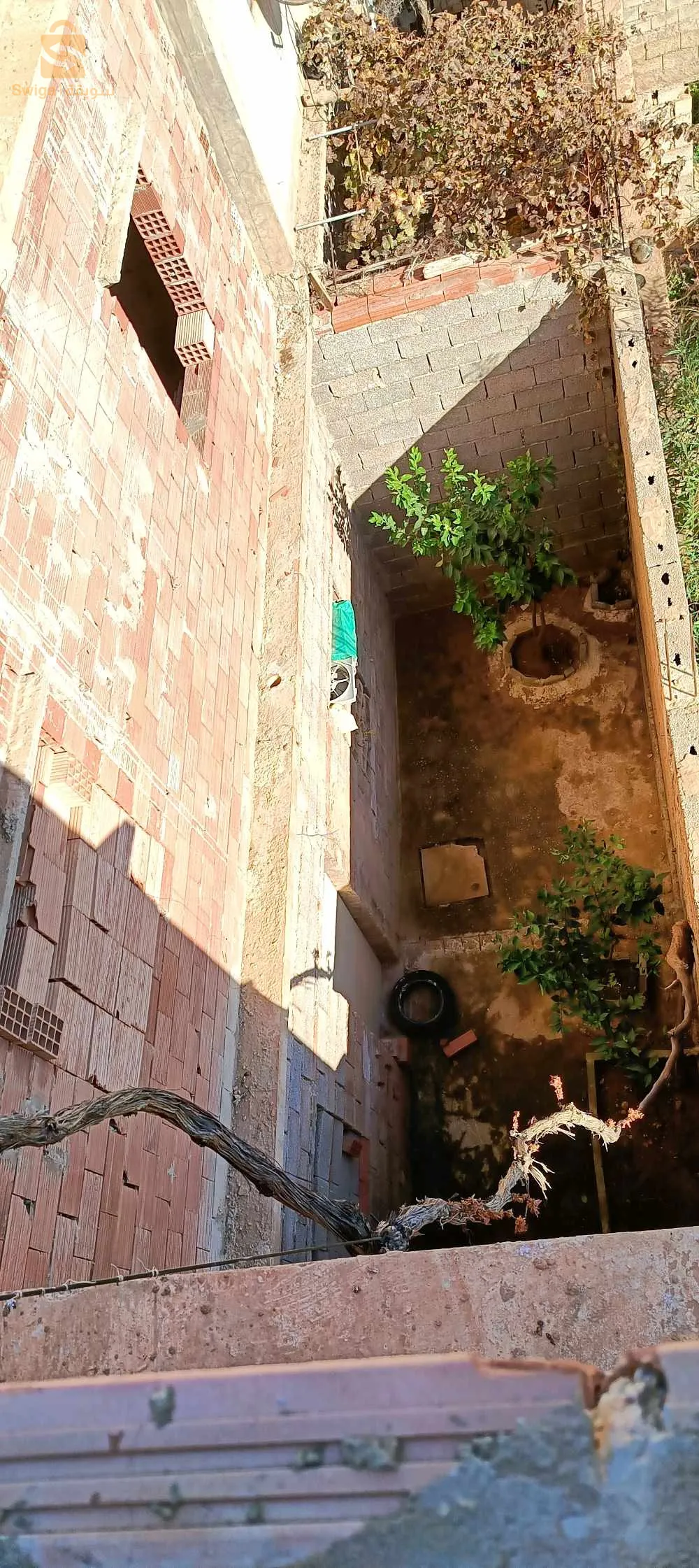 بلدية سيدي بلعطار