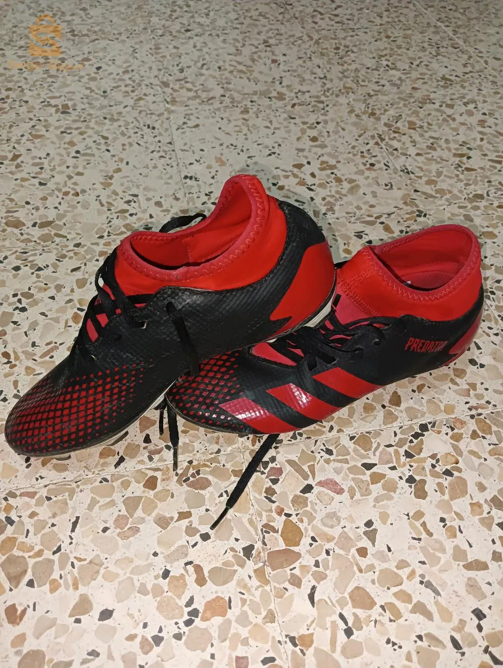 بلدية سيدي بايزيد ولاية الجلفة