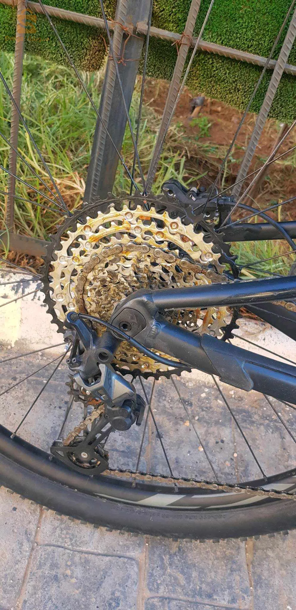 vélo taille L 29