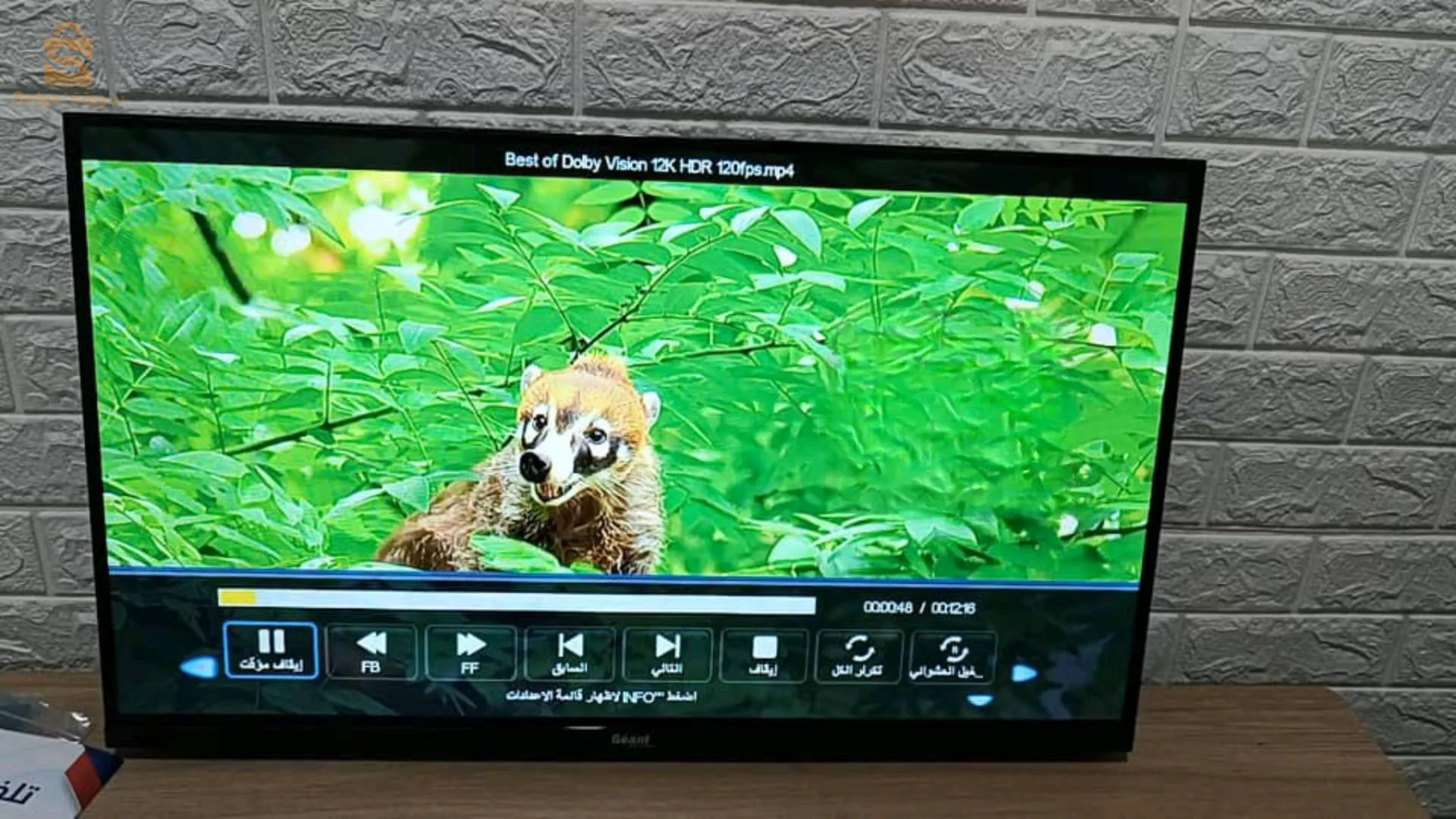 تخفيض تلفزيون 32 بوصة نوع عادي جيو