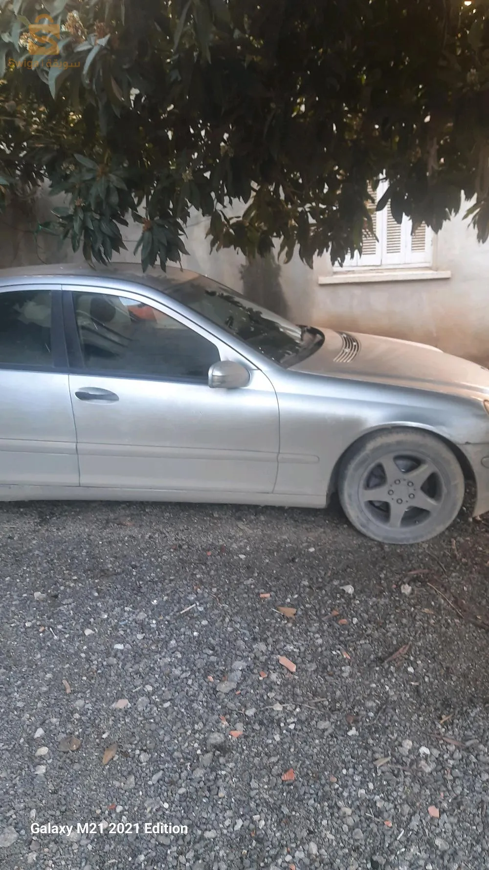 لي يحب يشري