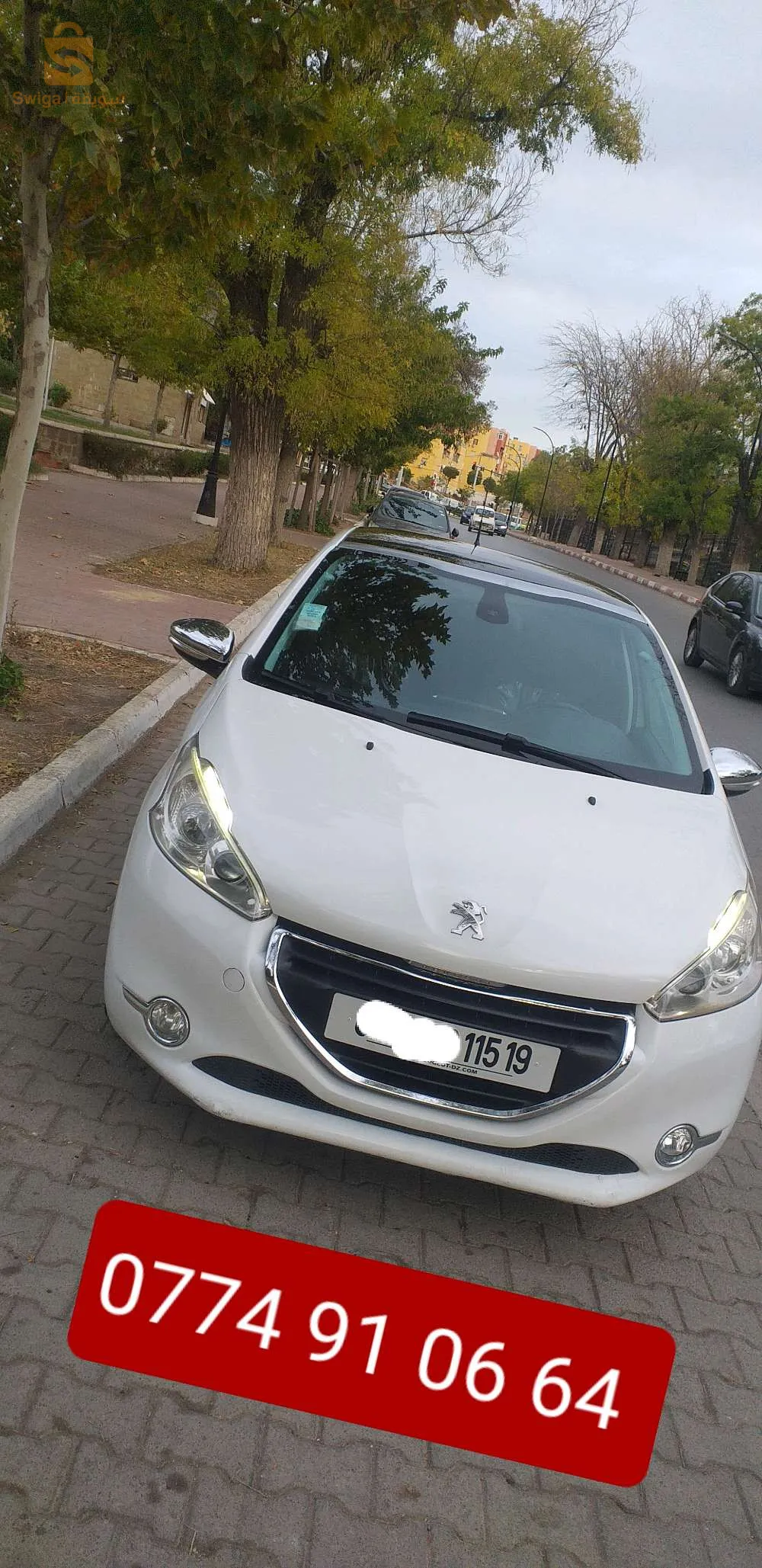 سطيف