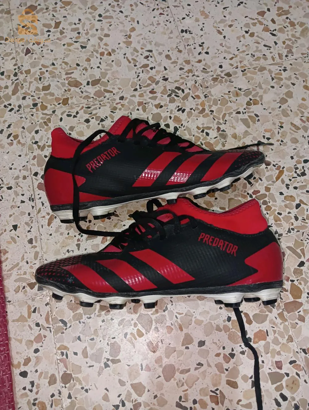 بلدية سيدي بايزيد ولاية الجلفة