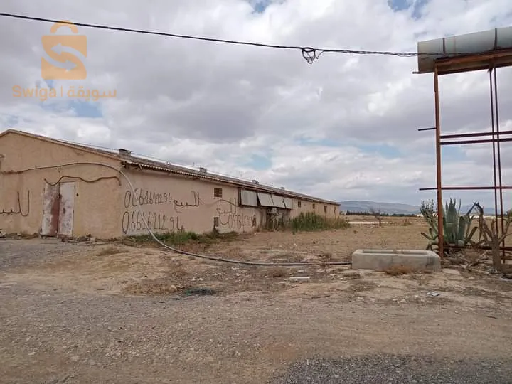 للبيع أرض فلاحية صالحة للإستثمار الفلاحي الإنتاجي فيها 4.27 هكتار فيها زوج فوراجات +رخصة حفر بئر ثالث و فيها بلاط فورم 80 م طول/14 عرض + رخصة بناء غرف تبريد + قاراج لتربية الدواجن(7000جاجة) + مسكن + معلم تاريخي (رحى رحمون) جاية على طريق الوطني رقم 03 (طريق بسكرة)   
#عقد_ملكية+#دفتر_عقاري.