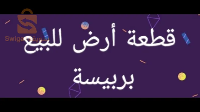 بربيسة بمحذات محطة البنزين